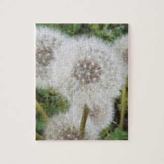 Dandelions Legpuzzel