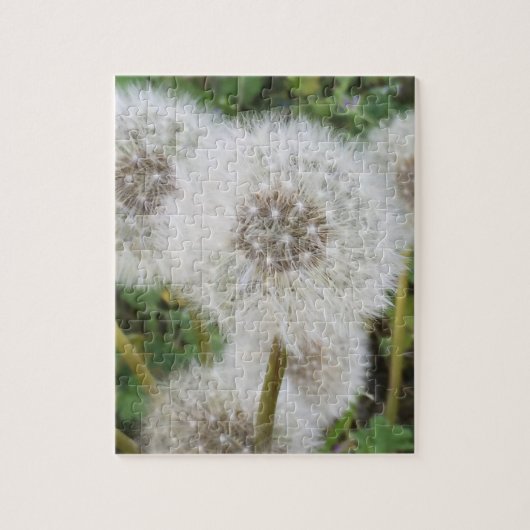 Dandelions Legpuzzel (Verticaal)