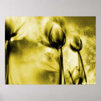 Dandelions met achtergrondverlichting in Antiek Po Poster