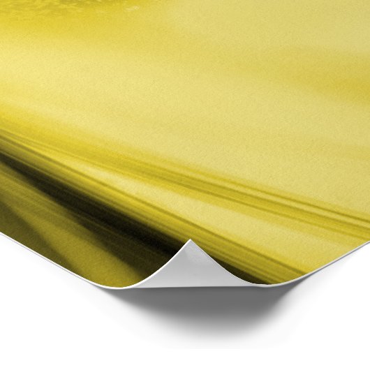 Dandelions met achtergrondverlichting in Antiek Po Poster (Hoek)