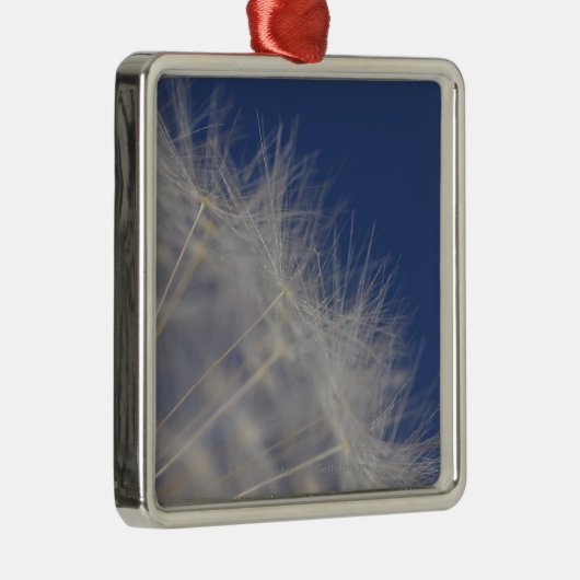 Dandelions Metalen Ornament (Rechts)