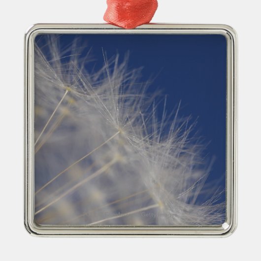 Dandelions Metalen Ornament (Voorkant)