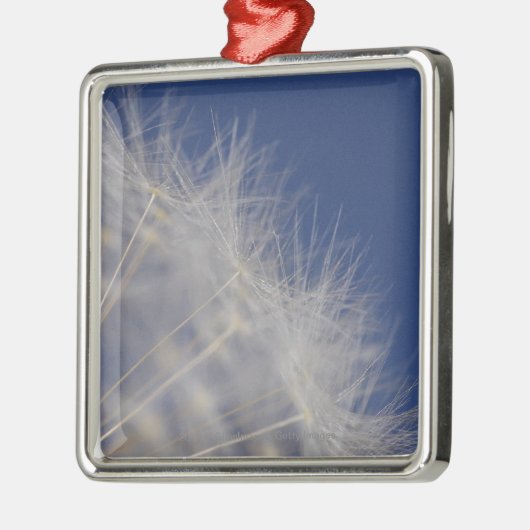 Dandelions Metalen Ornament (Links)