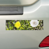 Dandelions op de weide bumpersticker (Op auto)