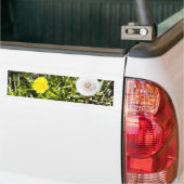Dandelions op de weide bumpersticker (Op Truck)