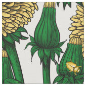 Dandelions op wit stof (Close Up)
