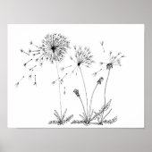 Dandelions Poster (Voorkant)