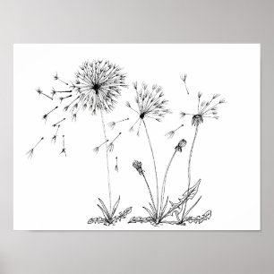 Dandelions Poster