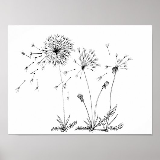 Dandelions Poster (Voorkant)