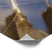 Dandelions Poster (Hoek)