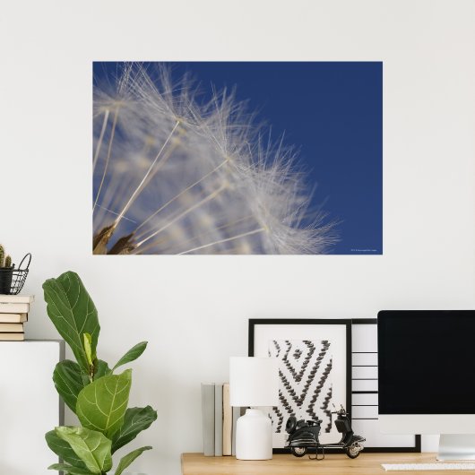 Dandelions Poster (Thuiskantoor)