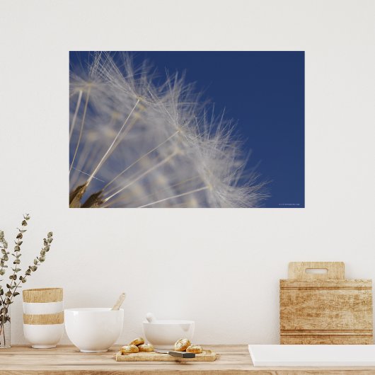 Dandelions Poster (Keuken)