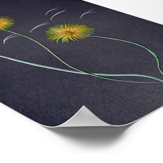 Dandelions Poster afdrukken Groot (Hoek)