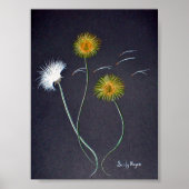 Dandelions Poster afdrukken Groot (Voorkant)