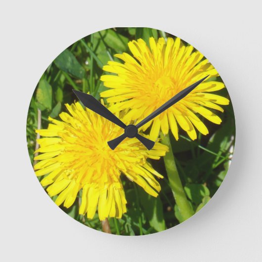 Dandelions Ronde Klok (Voorkant)