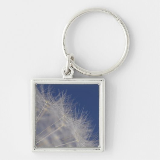 Dandelions Sleutelhanger (Voorkant)
