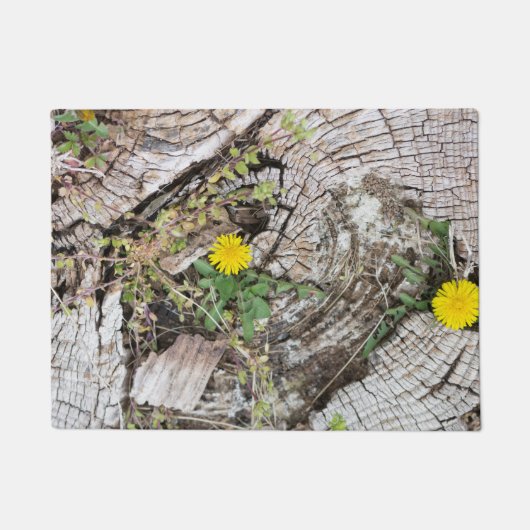 Dandelions stilleven deurmat (Voorkant)