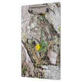 Dandelions stilleven klembord (Links)