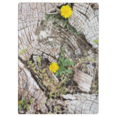 Dandelions stilleven klembord (Achterkant)
