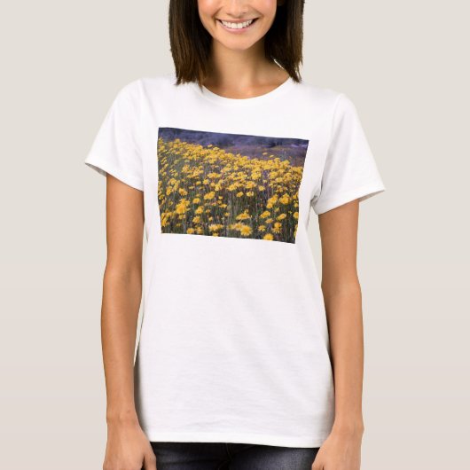 Dandelions T-shirt (Voorkant)
