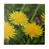 Dandelions Tegeltje (Voorkant)