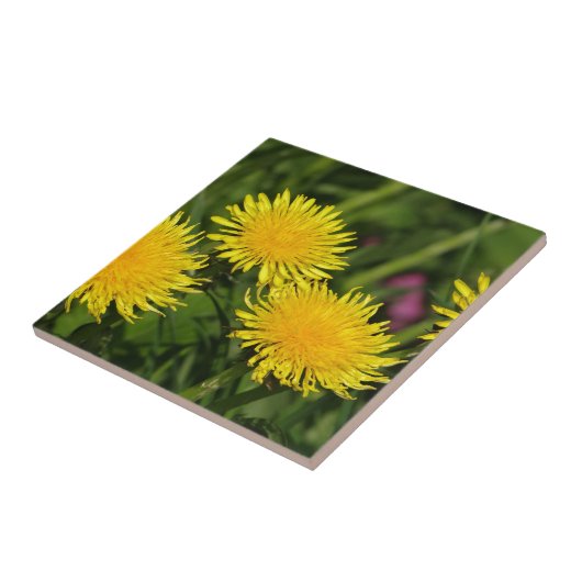 Dandelions Tegeltje (Zijkant)
