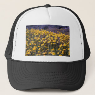 Dandelions Trucker Pet