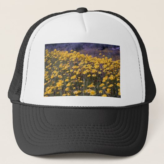 Dandelions Trucker Pet (Voorkant)