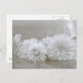 Dandelions zwart-wit Briefkaart (Voorkant / Achterkant)