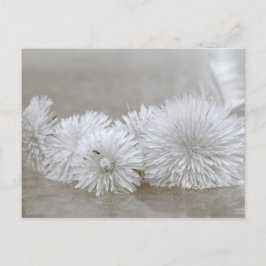 Dandelions zwart-wit Briefkaart