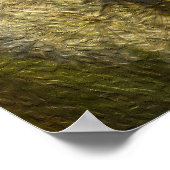 Dandelionzaadkop (olieverf) poster (Hoek)