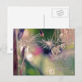 Dandellion-heilige Briefkaart (Voorkant / Achterkant)