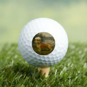 Dandi Dinmont Terrier Golfballen (Insitu Shirt)