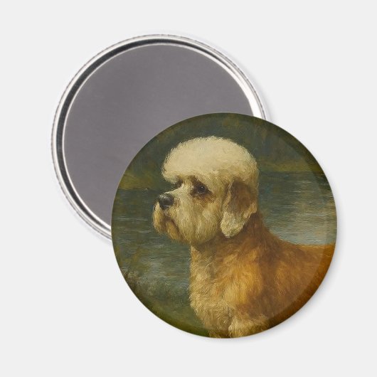 Dandi Dinmont Terrier Magneet (Voorkant / Achterkant)