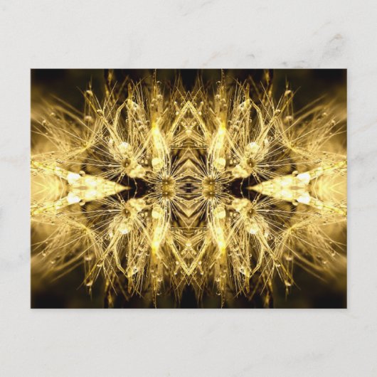 dandiana Briefkaart (Voorkant)