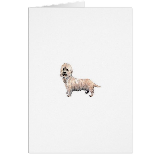 Dandie Dinmont Terrier (Voorkant)