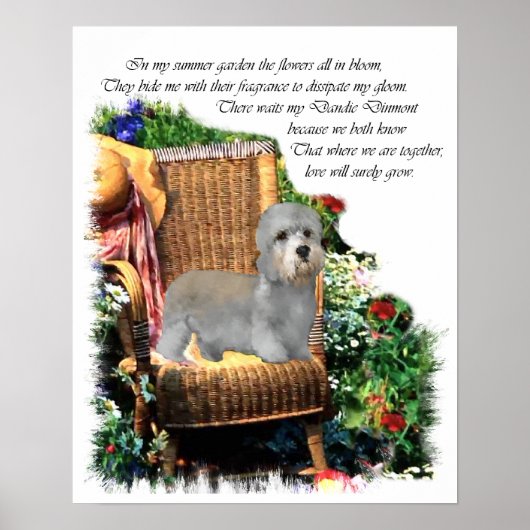 Dandie Dinmont Terrier Art Print (Voorkant)