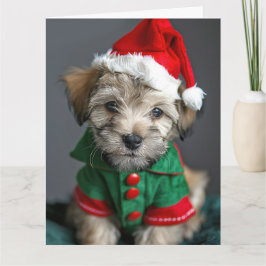 Dandie Dinmont Terrier Elf Puppy Kerst Kaart