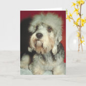 Dandie Dinmont Terrier Kaart (Gele Bloem)
