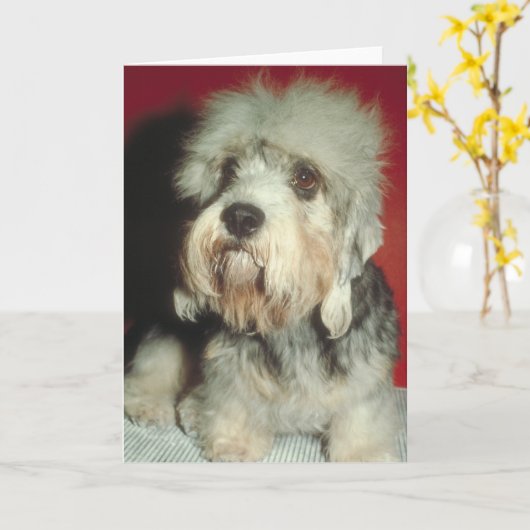 Dandie Dinmont Terrier Kaart (Gele Bloem)