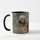 Dandie Dinmont Terrier Mok (Links)