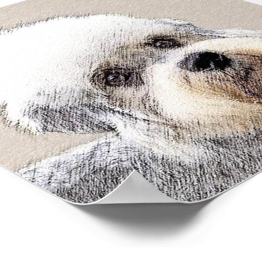 Dandie Dinmont Terrier Painting Original Dog Art Poster (Hoek)