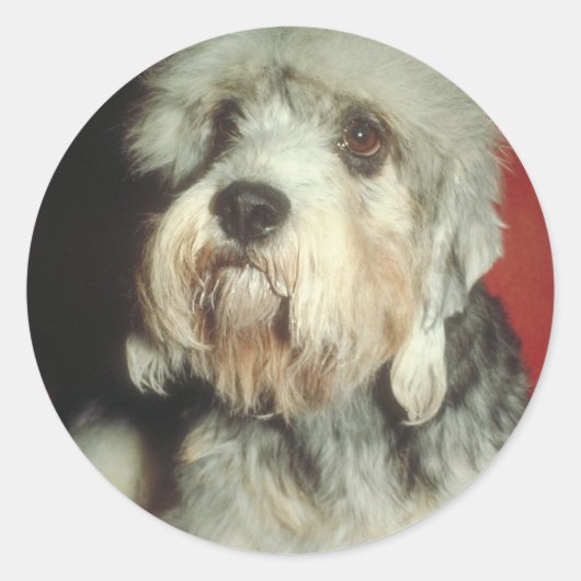 Dandie Dinmont Terrier Ronde Sticker (Voorkant)