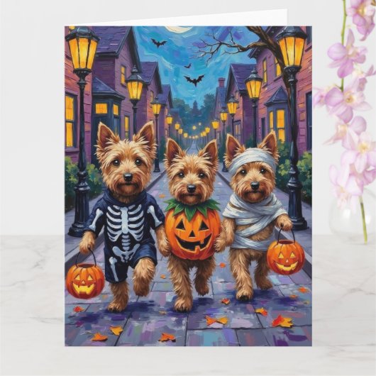 Dandie Dinmont Terrier Trick-or-Treating Halloween Kaart (Orchidee)
