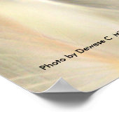 Dandilion Poster (Hoek)