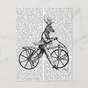 Dandy Deer op de  fiets Briefkaart
