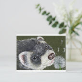 Dandy Ferret Briefkaart (Staand voorkant)