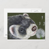 Dandy Ferret Briefkaart (Voorkant / Achterkant)