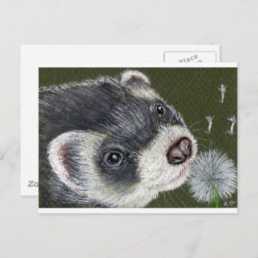 Dandy Ferret Briefkaart (Voorkant / Achterkant)
