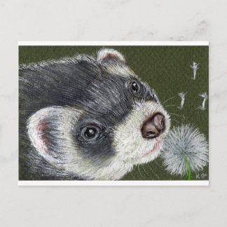 Dandy Ferret Briefkaart